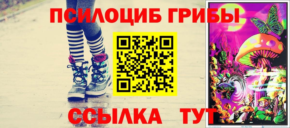 Галлюциногенные грибы Cubensis  Вход с VPN  Белогорск  Псилоцибиновые грибы MAGIC MUSHROOMS 