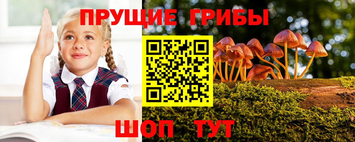 Псилоцибиновые грибы Magic Shrooms Белогорск